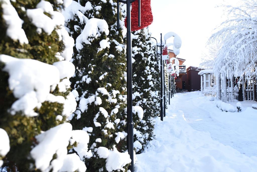 Rixo'S Guesthouse Cîrcea Exteriör bild